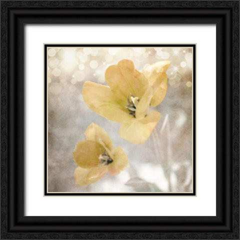 Yellow Tulip 03 Black Ornate Wood Framed Art Print with Double Matting by LightBoxJournal