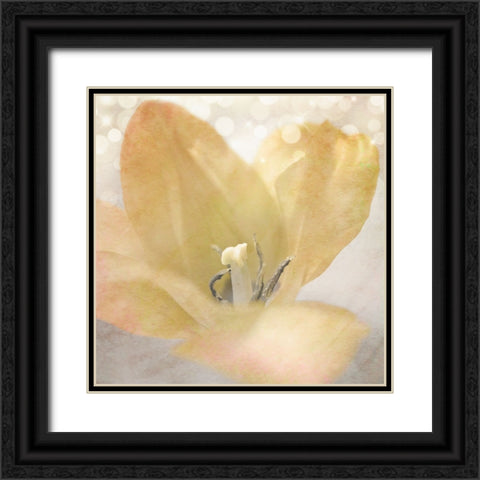 Yellow Tulip 04 Black Ornate Wood Framed Art Print with Double Matting by LightBoxJournal