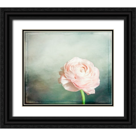 Peony 03 Black Ornate Wood Framed Art Print with Double Matting by LightBoxJournal