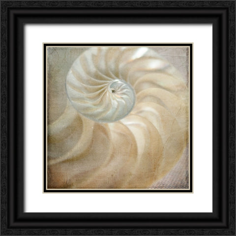 Under the Sea 01 Black Ornate Wood Framed Art Print with Double Matting by LightBoxJournal