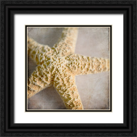 Under the Sea 03 Black Ornate Wood Framed Art Print with Double Matting by LightBoxJournal