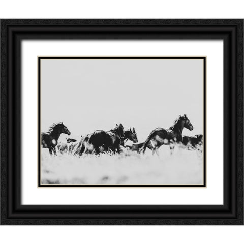 Wild Horses of the Great Basin 00 Black Ornate Wood Framed Art Print with Double Matting by LightBoxJournal