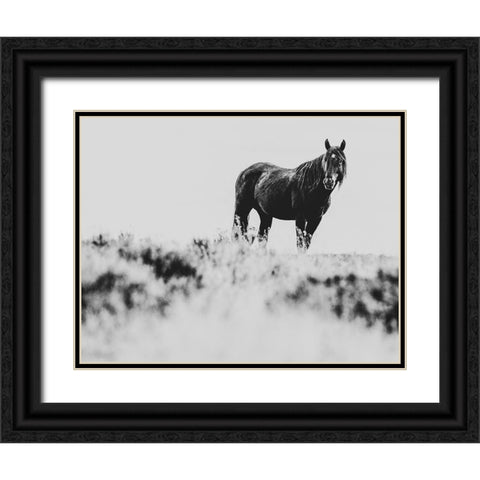Wild Horses of the Great Basin 01 Black Ornate Wood Framed Art Print with Double Matting by LightBoxJournal