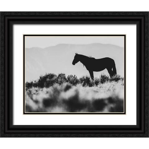 Wild Horses of the Great Basin 02 Black Ornate Wood Framed Art Print with Double Matting by LightBoxJournal