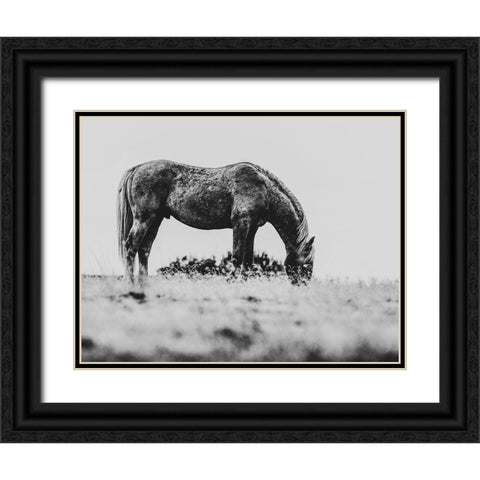 Wild Horses of the Great Basin 03 Black Ornate Wood Framed Art Print with Double Matting by LightBoxJournal