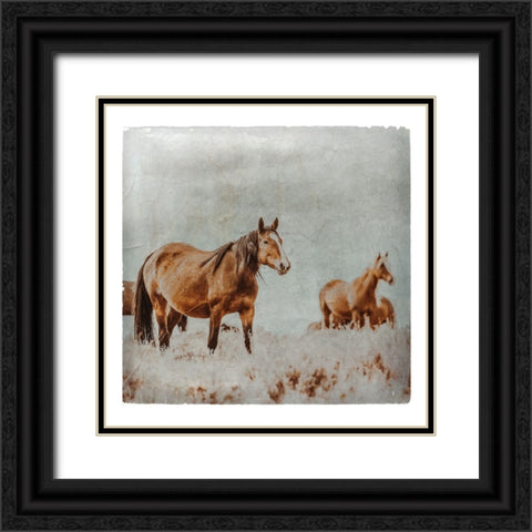 Wild Horses of the Great Basin Lomography 01 Black Ornate Wood Framed Art Print with Double Matting by LightBoxJournal