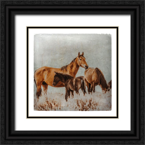 Wild Horses of the Great Basin Lomography 02 Black Ornate Wood Framed Art Print with Double Matting by LightBoxJournal