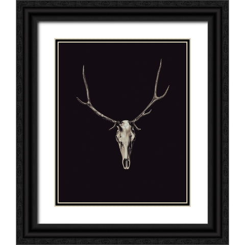 The Rustic Antler 03 Black Ornate Wood Framed Art Print with Double Matting by LightBoxJournal