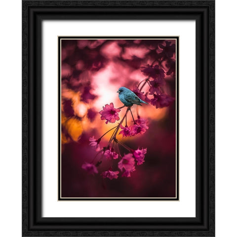 Cherry Blossoms Black Ornate Wood Framed Art Print with Double Matting by Love Grams