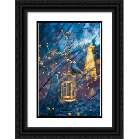 Golden Cage Black Ornate Wood Framed Art Print with Double Matting by Love Grams