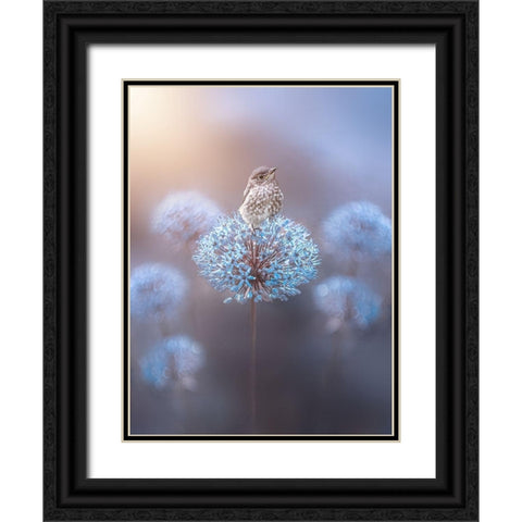 The Perch Black Ornate Wood Framed Art Print with Double Matting by Love Grams