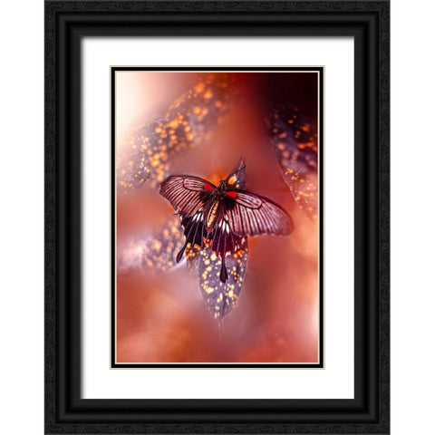 Hearts on Fire Black Ornate Wood Framed Art Print with Double Matting by Love Grams