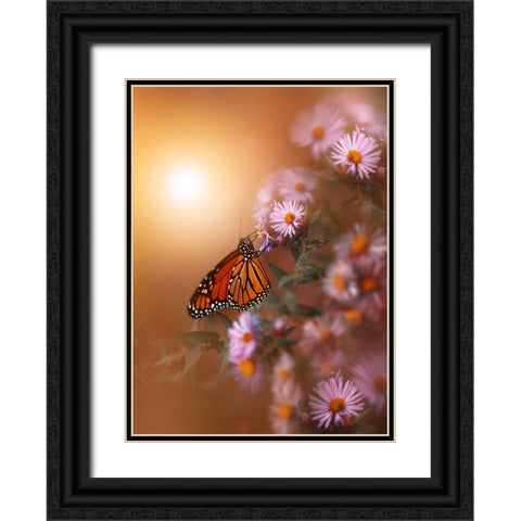 Summer Memory Black Ornate Wood Framed Art Print with Double Matting by Love Grams