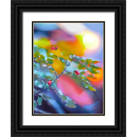 The Ladybugs Black Ornate Wood Framed Art Print with Double Matting by Love Grams
