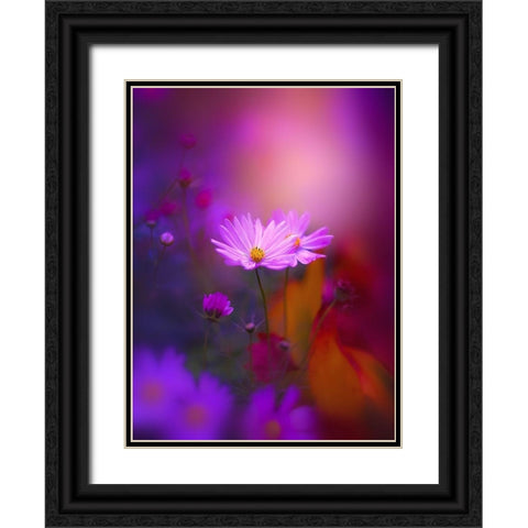 Cosmos in Purple Black Ornate Wood Framed Art Print with Double Matting by Love Grams