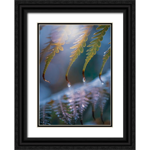 IMG_7584 Black Ornate Wood Framed Art Print with Double Matting by Love Grams
