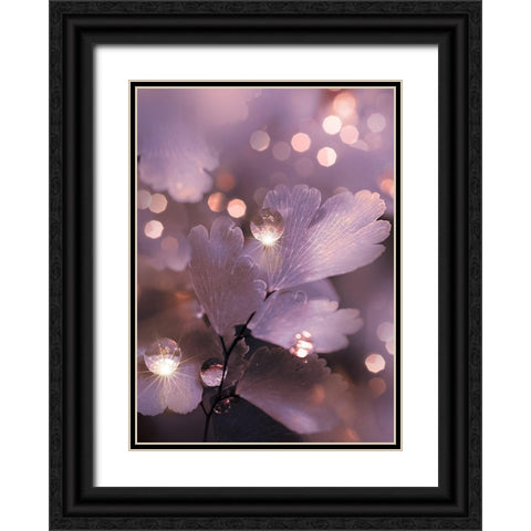 IMG_7594 Black Ornate Wood Framed Art Print with Double Matting by Love Grams