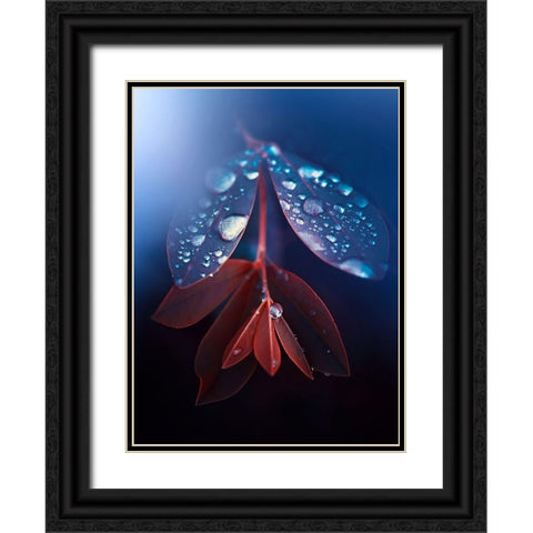 IMG_7595 Black Ornate Wood Framed Art Print with Double Matting by Love Grams