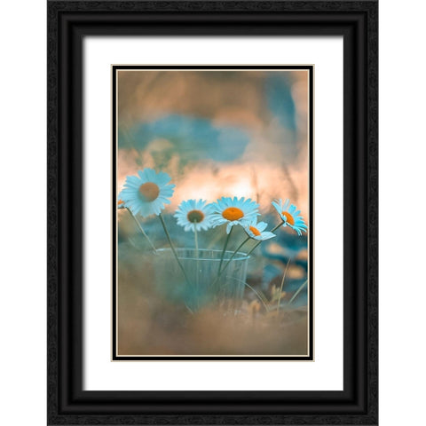 Blue Daisies Black Ornate Wood Framed Art Print with Double Matting by Love Grams