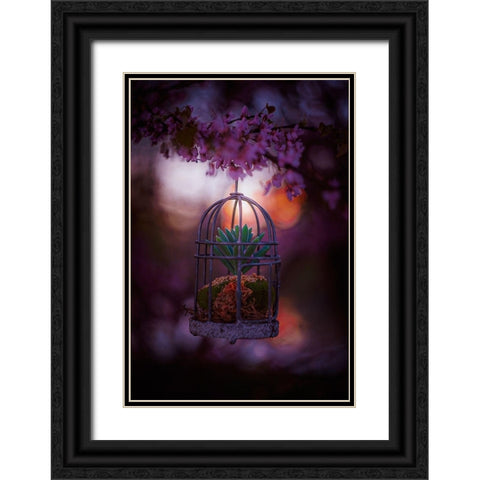 Caged at Dusk Black Ornate Wood Framed Art Print with Double Matting by Love Grams