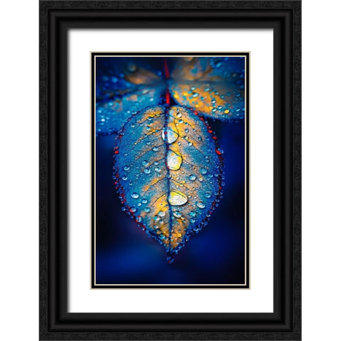 Drops of Jupiter Black Ornate Wood Framed Art Print with Double Matting by Love Grams