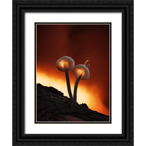 Fiery Mushrooms Black Ornate Wood Framed Art Print with Double Matting by Love Grams