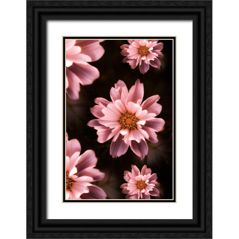 Floral Pattern Black Ornate Wood Framed Art Print with Double Matting by Love Grams
