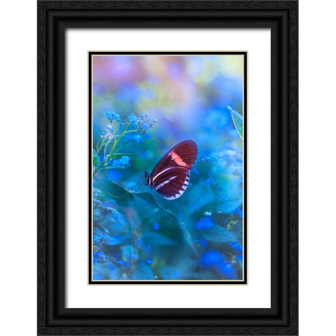 Forget Me Not Black Ornate Wood Framed Art Print with Double Matting by Love Grams