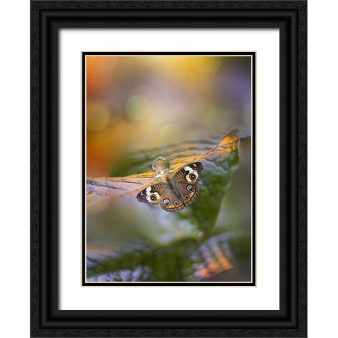 Green Haze Black Ornate Wood Framed Art Print with Double Matting by Love Grams