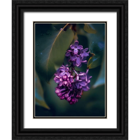 Lilacs at Dusk Black Ornate Wood Framed Art Print with Double Matting by Love Grams