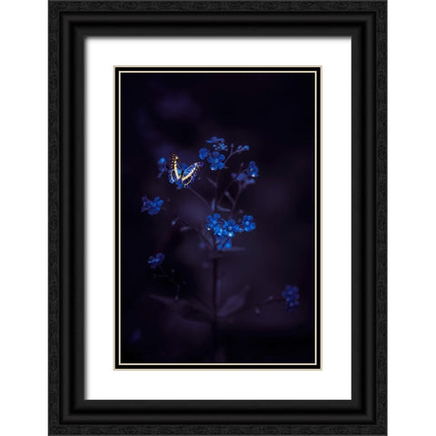 Nightmare Wonders Black Ornate Wood Framed Art Print with Double Matting by Love Grams