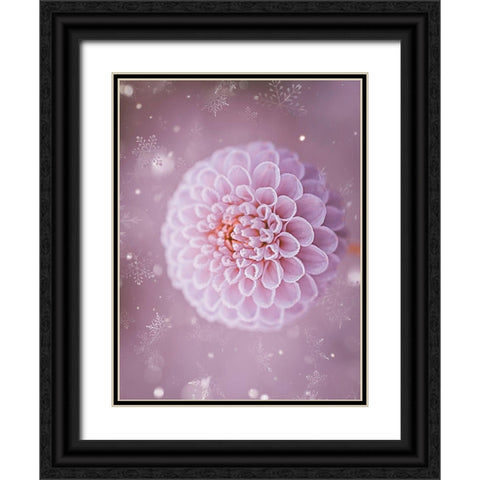 Snowflakes and Cotton Candy Black Ornate Wood Framed Art Print with Double Matting by Love Grams