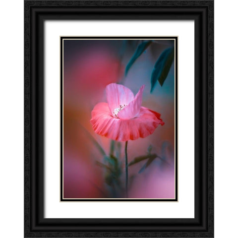 Summer Warmth Black Ornate Wood Framed Art Print with Double Matting by Love Grams