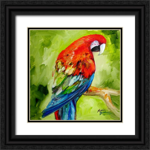 Macaw Tropical Black Ornate Wood Framed Art Print with Double Matting by Baldwin, Marcia