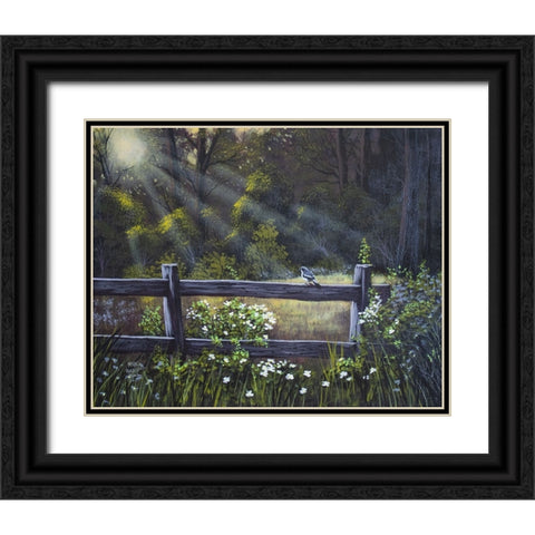 Little Blue Bird Black Ornate Wood Framed Art Print with Double Matting by Harvill, Marc