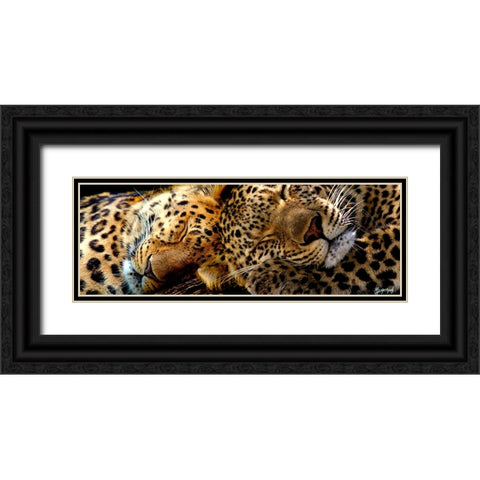 Two Sleepers Cheetahs Black Ornate Wood Framed Art Print with Double Matting by Murray Henderson Fine Art