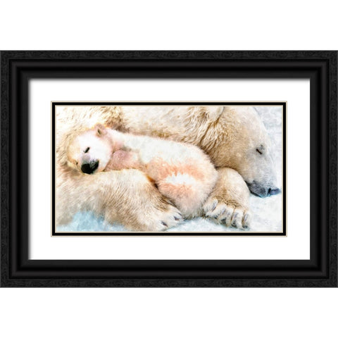 Polar Sleep Black Ornate Wood Framed Art Print with Double Matting by Murray Henderson Fine Art