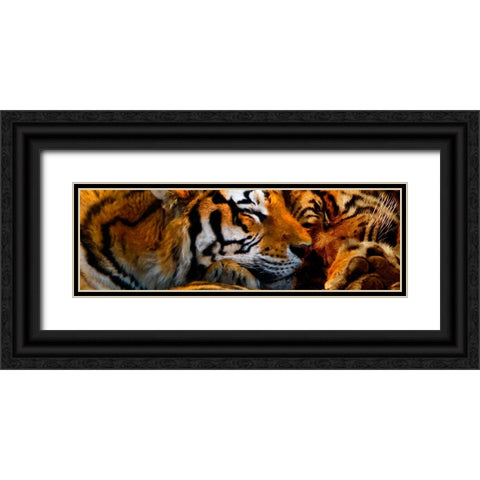 Tigers Sleep Black Ornate Wood Framed Art Print with Double Matting by Murray Henderson Fine Art