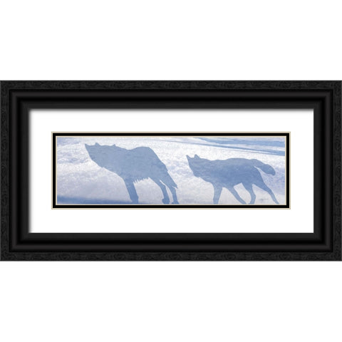Wolf Pack Shadows Black Ornate Wood Framed Art Print with Double Matting by Murray Henderson Fine Art
