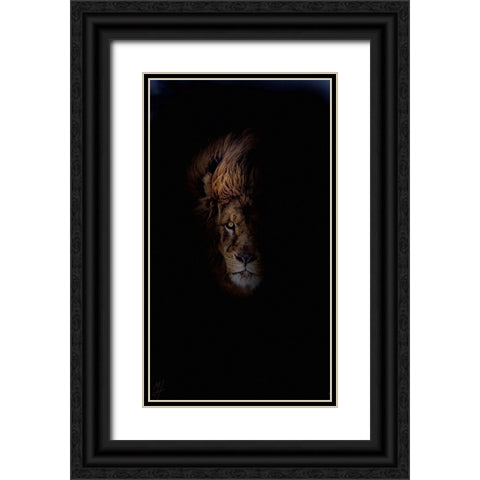 Lion Black Ornate Wood Framed Art Print with Double Matting by Murray Henderson Fine Art