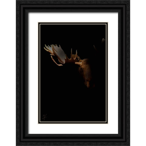 Moose Staredown Black Ornate Wood Framed Art Print with Double Matting by Murray Henderson Fine Art