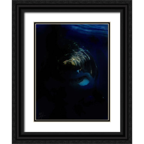 Shark Shadows (1) Black Ornate Wood Framed Art Print with Double Matting by Murray Henderson Fine Art