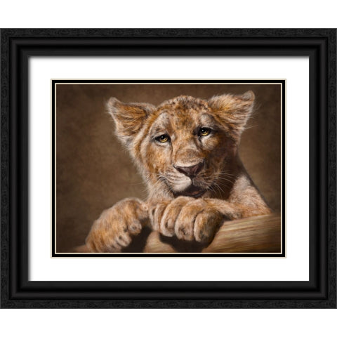 Lion Cub Black Ornate Wood Framed Art Print with Double Matting by LaMontagne, Patrick