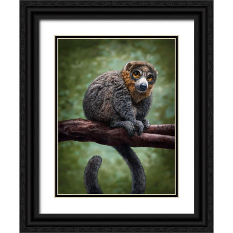 Mongoose Lemur Totem Black Ornate Wood Framed Art Print with Double Matting by LaMontagne, Patrick