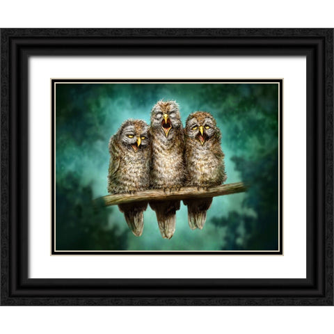 One Hoot Wonders Black Ornate Wood Framed Art Print with Double Matting by LaMontagne, Patrick
