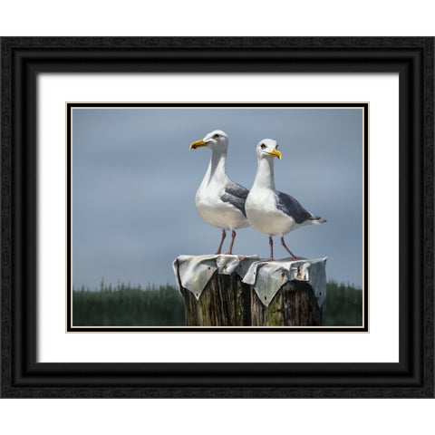 Ukee Locals Black Ornate Wood Framed Art Print with Double Matting by LaMontagne, Patrick