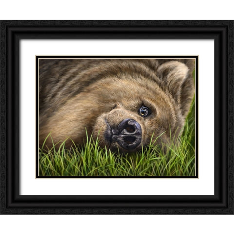 Grizzly on Grass Black Ornate Wood Framed Art Print with Double Matting by LaMontagne, Patrick