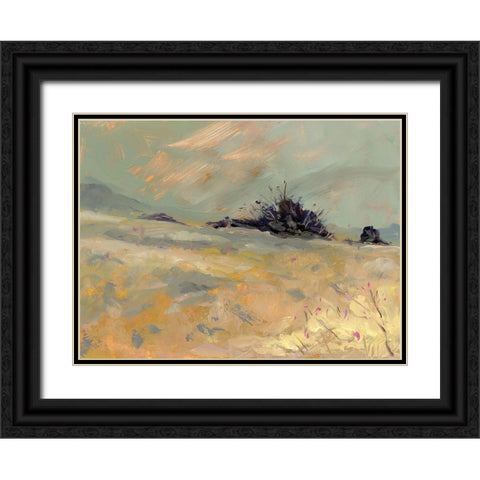 Flower Valley Black Ornate Wood Framed Art Print with Double Matting by Randy Noble Fine Art