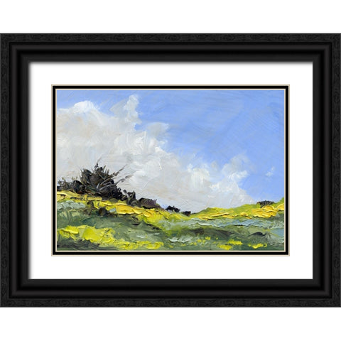 Spring Showers Black Ornate Wood Framed Art Print with Double Matting by Randy Noble Fine Art