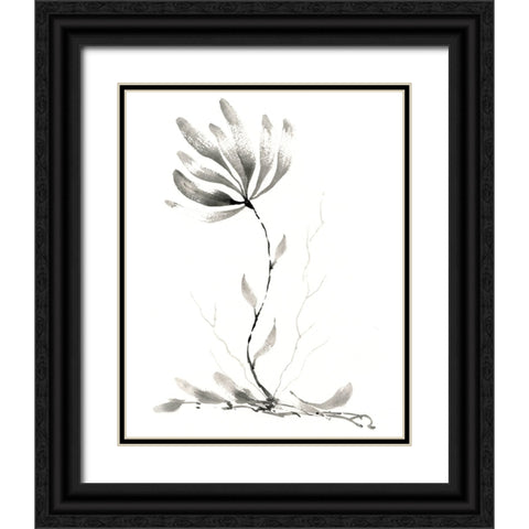 Sun Side Black Ornate Wood Framed Art Print with Double Matting by Randy Noble Fine Art